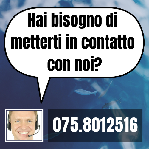 Hai bisogno di metterti in contatto con noi_